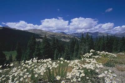 Vista dell'Amiata a Primavera